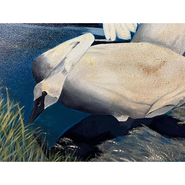 Realism Theo Dodge Signed Oil, Two Swans on the Water, Palatka Florida For Sale - Image 3 of 10