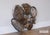 Very rare abalone shell wall sculpture with stunning iridescent copper and brass colors! Not signed but it is an Artisan...