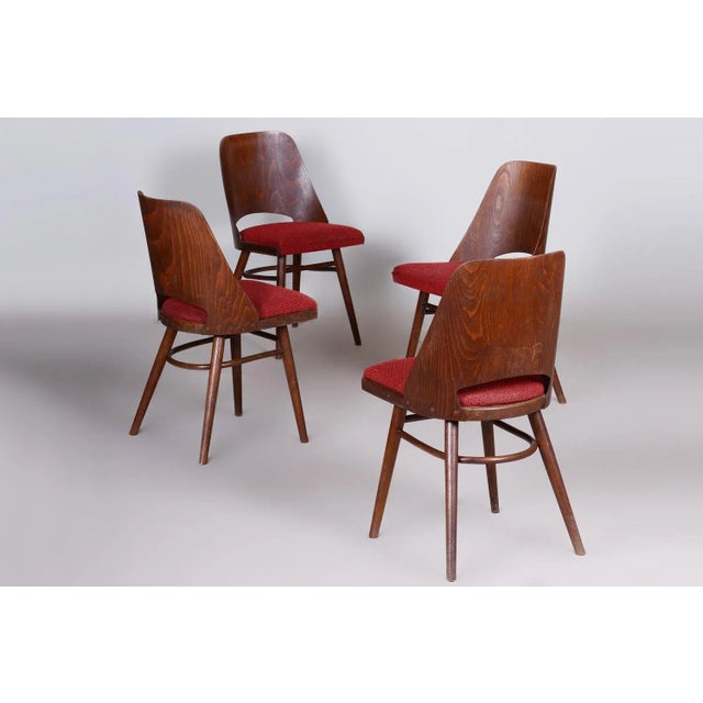 Oswald Haerdtl Mid-Century Beech Dining Chairs attributed to Oswald Haerdtl, 1950s, Set of 4 For Sale - Image 4 of 11
