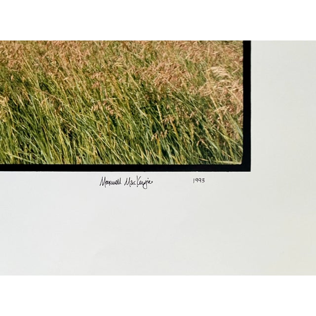 Everts Township Homestead, Summer, 1993 Fabulous American landscape photography of a rural landscape scene. from small...