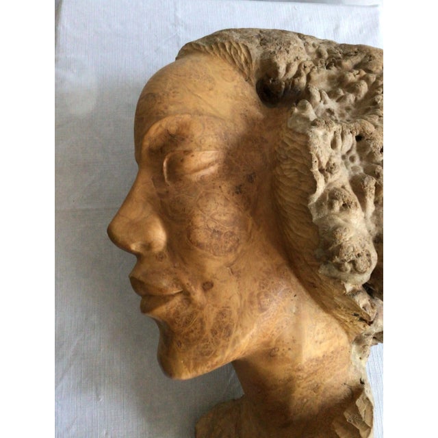 1960s Burl Wood Carving of A Woman's Face For Sale - Image 4 of 9