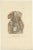 Anatomy Illustrations of Vessels and the Lymphatic System, 1839, Prints, Set of 13 For Sale - Image 14 of 15