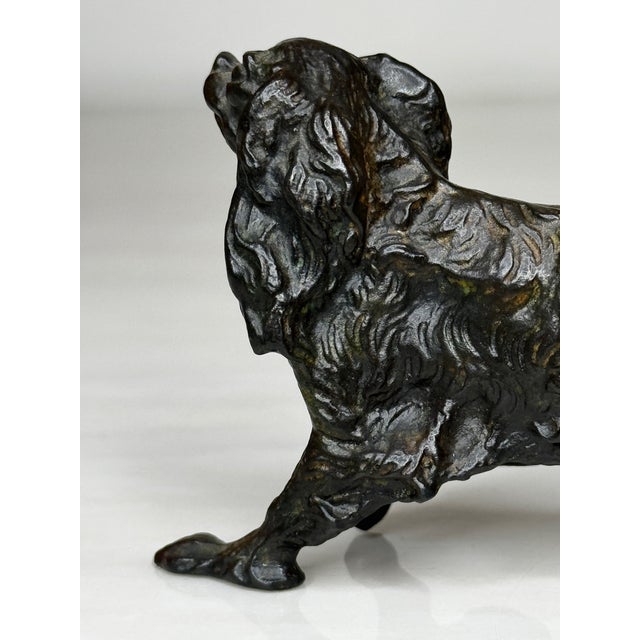 Antique Miniature Austrian Bronze Long Haired Dachshund Sculpture Circa 1900 For Sale - Image 11 of 18