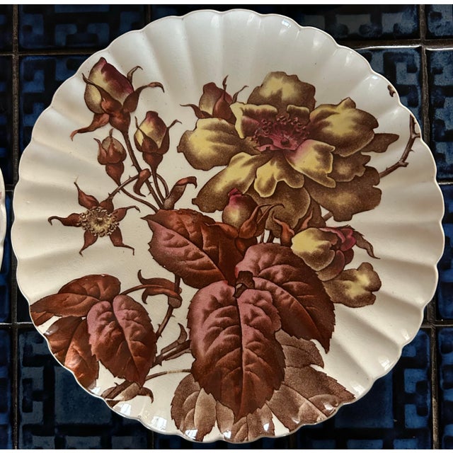Antique 1880’s Tc Brown Westhead Moore & Co Scalloped Edge Botanical Plates 8.5” ~ Set of 6 For Sale - Image 4 of 11