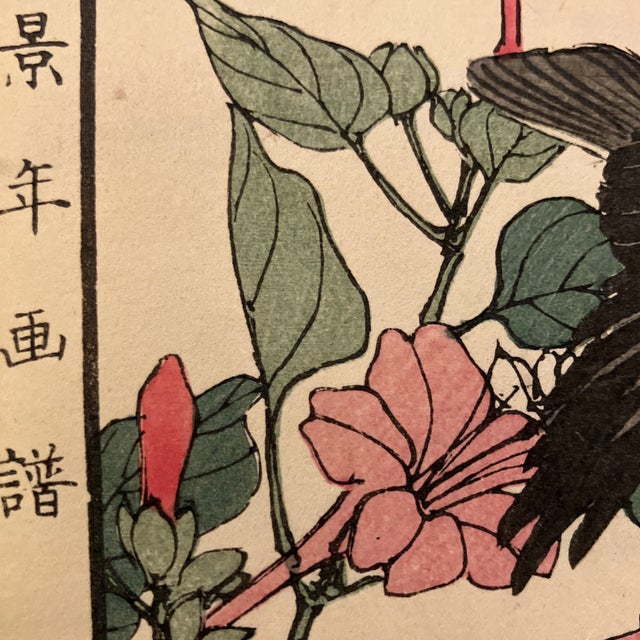19th Century Japanese Woodblock by Imao Keinen Goldrest Bird With Four O’Clocks For Sale - Image 4 of 4
