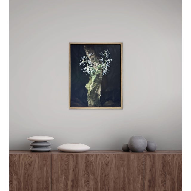 Black Orchid and Lizard by Susan McDonnell | Oil on Panel White Orchids With Lizard For Sale - Image 8 of 12