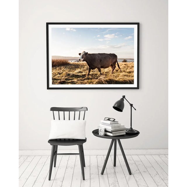 Not Yet Made - Made To Order 'Brown Cow' Contemporary English Landscape Fine Art Photography Print, Pastoral Art, Large 45 X 30" Bovine Artwork For Sale - Image 5 of 8