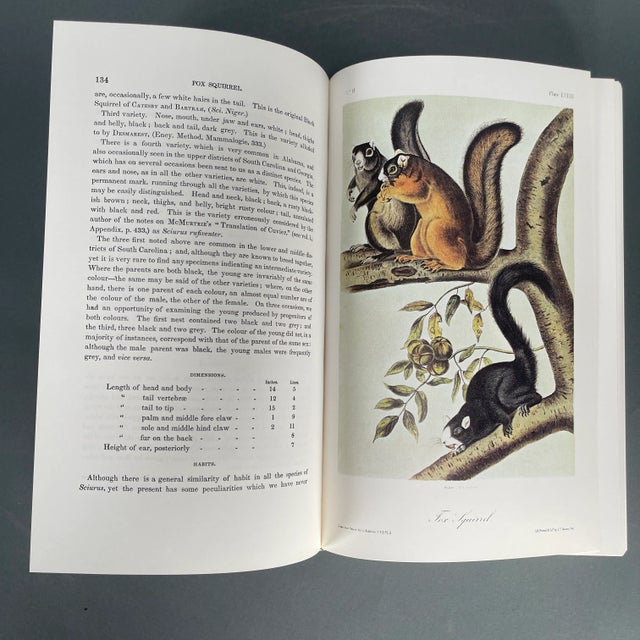 Vintage '79 Complete Audubon Vol. 5 National Society 75th Anniversary Ed. W/ Box For Sale - Image 12 of 12