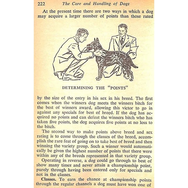 "The Care and Handling of Dogs" 1950 Baird, Jack For Sale - Image 4 of 12