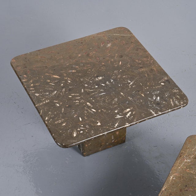 Fossile Nesting Tables, Switzerland, 1970, Set of 3 For Sale - Image 10 of 17