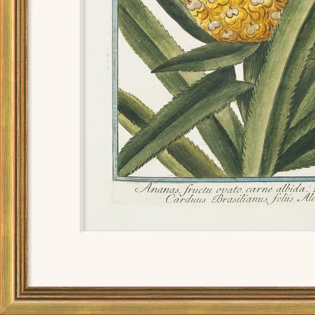 Archival Giclee Print. High quality materials and craftsmanship. Artisian handcrafted wood moulding imported from Europe....