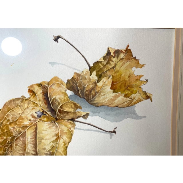 Original Signed R. Skibinski Realistic Fall Leaves Watercolor Painting Realism For Sale - Image 4 of 9