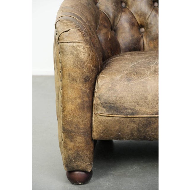Cowhide Chesterfield Club Armchair For Sale - Image 12 of 15