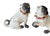 Pair of Large English Porcelain Pug Dog Figures, Early 20th Century For Sale - Image 9 of 9