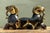 Vintage Egyptian Gilt Tipped Rams Head Sculpture For Sale - Image 4 of 12