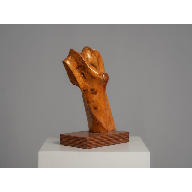 Modern H. Hinfelaar, Organic Wood Sculpture, 1989, Multiplex & Pearwood For Sale - Image 3 of 10