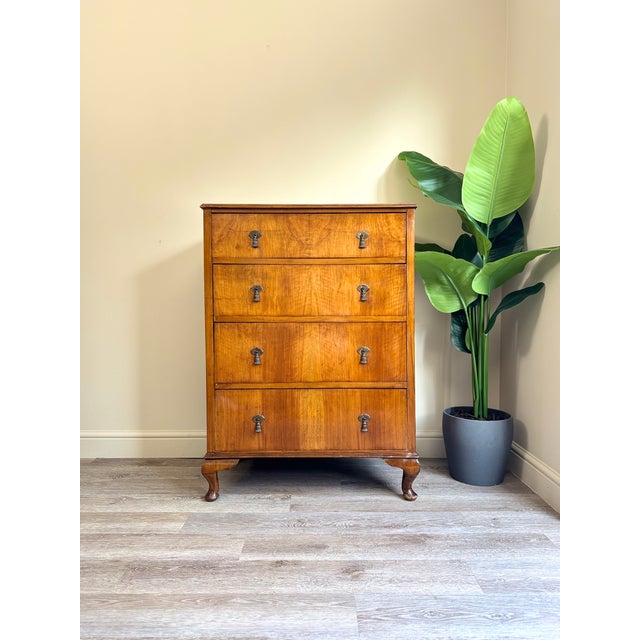 Vintage Walnut Chest of Drawers, 1960s For Sale - Image 11 of 11