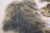 "Cat", Heisei Era Japanese Silk Painting For Sale - Image 10 of 15