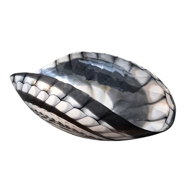Glass Murano Venezia Art Glass Large Sea Shell Center Piece Bowl W/Original Label For Sale - Image 7 of 7