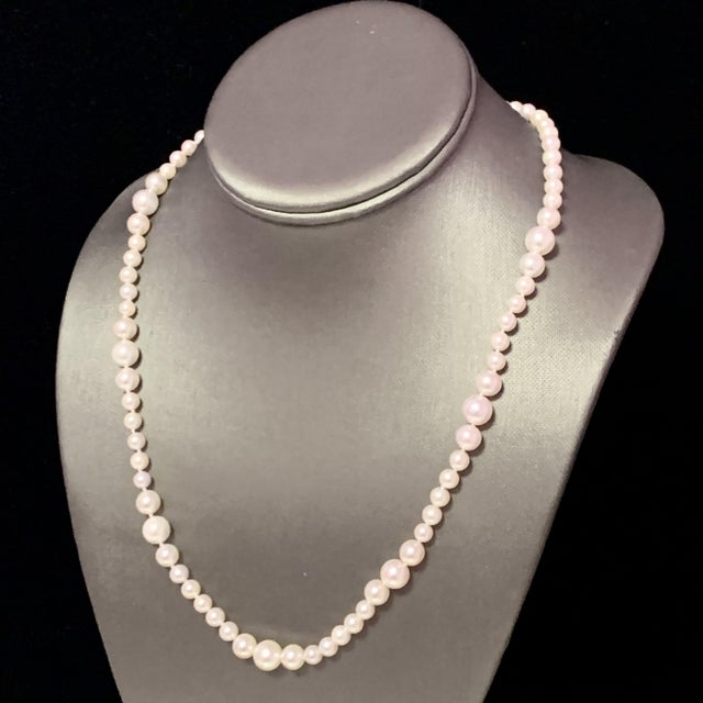 Traditional Akoya Pearl Necklace 14k Yellow Gold Certified For Sale - Image 3 of 11
