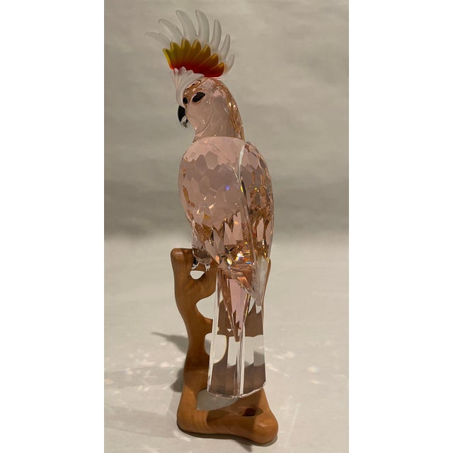 Swarovski Crystal Cockatoo Bird Figure For Sale In New York - Image 6 of 8