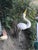 Vintage Mid-Century Mod Iron Heron White Coastal Egret Yard Statue For Sale - Image 9 of 9