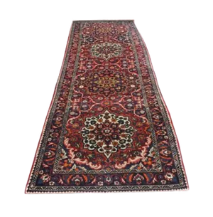 Bakhtiar Runner - 3′1″ × 14′3″