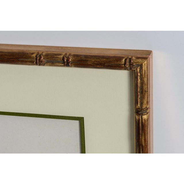 Antique Trio of Framed Double-Print Renaissance Botanical Wall Art For Sale - Image 16 of 18
