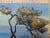 Lester George Hornby (American, 1882-1956) Oil Board Painting Signed Landscape Titled 'Pines at Andrews Point' Rockport...