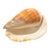 Natural Seashell in Cream and Warm Peach Tones For Sale