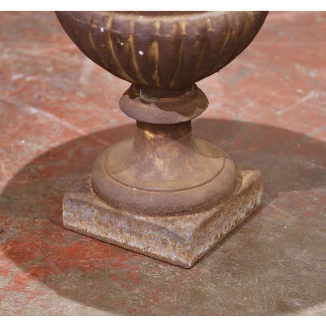 Mid 19th Century Pair of 19th Century French Cast Iron Medici Urns With Original Patina For Sale - Image 5 of 12