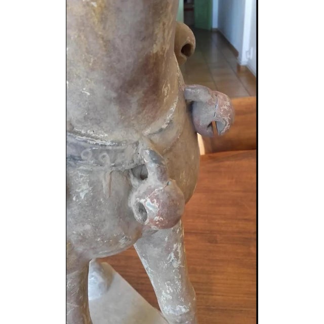 Han Dynasty Terracotta Horse, China, '206 Bc–220 Ad' For Sale - Image 10 of 13