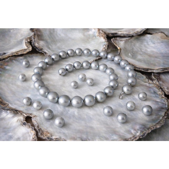 Tahitian Black Pearl Necklace, South Sea Pearls, 14k White Gold Clasp, 17" For Sale - Image 14 of 14