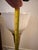 Metal Mid 20th Century Hollywood Regency Art Deco Rembrandt Brass Torchiere Lamp For Sale - Image 7 of 10