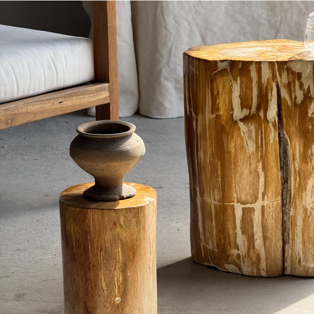 Oval Side Table in Petrified Wood, 1980s For Sale - Image 18 of 18
