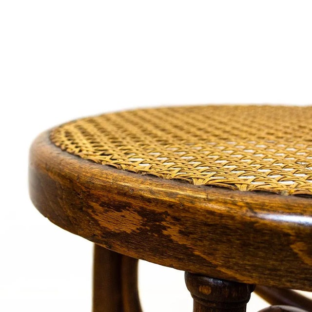 Antique Spanish Bentwood Chair in Oak by Ventura Feliu, 1890s, Set of 4 For Sale - Image 6 of 9