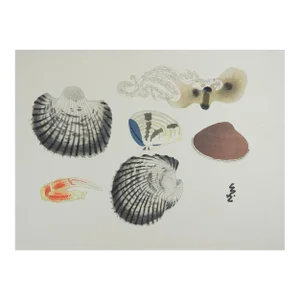 Mid 20th Century Japanese Mingei Folk Art Stencil Shells Octopus Print