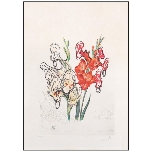 Surrealism Late 20th Century Gladiolus Cum Aurium Corymbo Expectantium Surreal Red Drypoint Etching and Heliogravure Salvador Dalí For Sale - Image 3 of 7