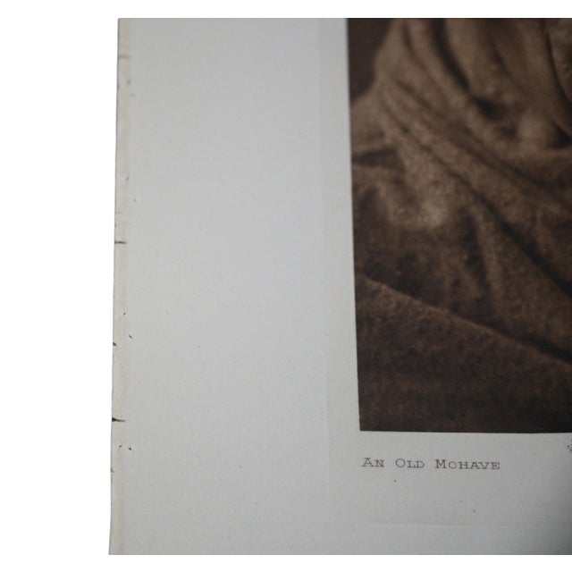 Edward S. Curtis "An Old Mohave" 1907 Vintage Tissue Photogravure, Cardozo Collection For Sale - Image 4 of 5