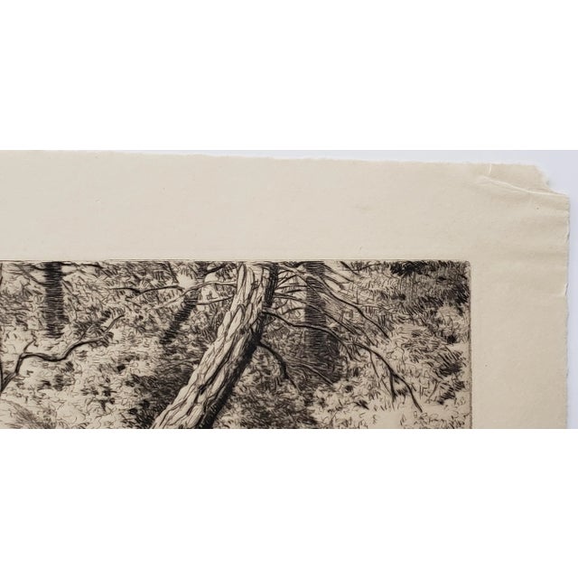 Rodney Thomson (American, 1878-1941) "The Watcher" Drypoint Etching Trial Proof C.1930 For Sale - Image 4 of 12