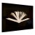 Alison Rossiter "Book: On Grief and Reason - Joseph Brodsky" Photogram 1997 For Sale