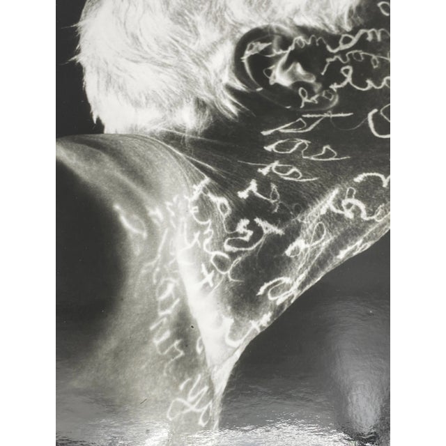 William Anastasi, Autobodyography (Profil), 1994, Photograph For Sale - Image 6 of 13
