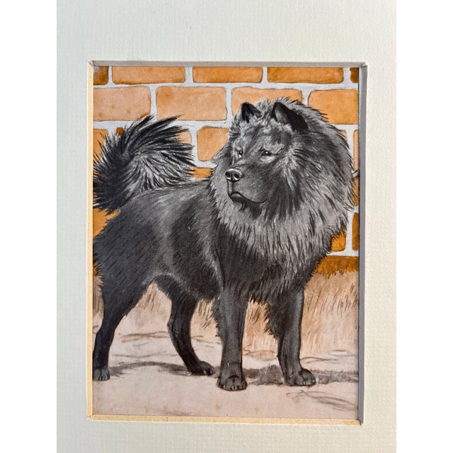 Vintage Chow Chow Dog Print For Sale - Image 4 of 4