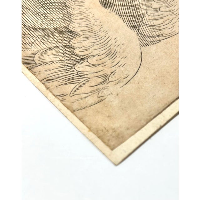 Black Mid 18th Century Italian Engraving of Angel, Signed Cavalli For Sale - Image 8 of 12