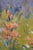 Rosa Canto Spanish Impressionist Floral Desert Landscape Oil Painting 48" For Sale - Image 11 of 14