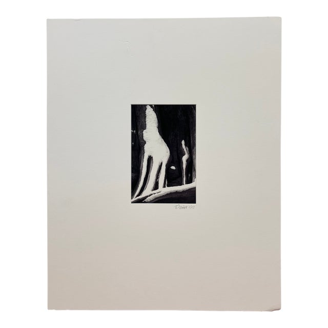 Signed Black and White Photograph "Howling Wolfe" Snow Tree Stump Illusion, North Bend Wa, Dated 2003. For Sale