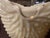 1900 Rare Northwood Argonaut Shell Custard Glass Covered Sugar Bowl Gilt Accents For Sale - Image 13 of 15
