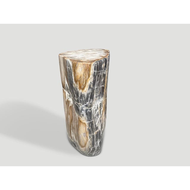 Contemporary Andrianna Shamaris Modern Organic Petrified Wood Side Table For Sale - Image 3 of 5