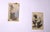 China drawing and white lead on paper. Mounted on mat This piece is attributed to the mentioned designer/maker. It has no...