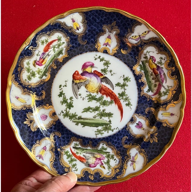 French Antique 19th Century Samson Porcelain Exotic Bird Plate in the Worcester Taste Circa 1880 For Sale - Image 3 of 11